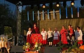 "Dożynki Gminne - Tarł&oacute;w 2023" 3