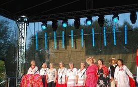 "Dożynki Gminne - Tarł&oacute;w 2023" 8