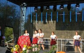 "Dożynki Gminne - Tarł&oacute;w 2023" 10