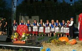 "Dożynki Gminne - Tarł&oacute;w 2023" 14