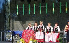 "Dożynki Gminne - Tarł&oacute;w 2023" 20