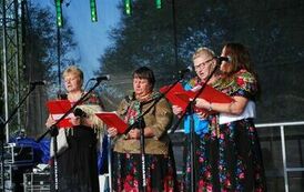 "Dożynki Gminne - Tarł&oacute;w 2023" 21