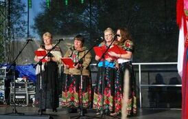 "Dożynki Gminne - Tarł&oacute;w 2023" 22