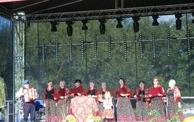 "Dożynki Gminne - Tarł&oacute;w 2023" 29