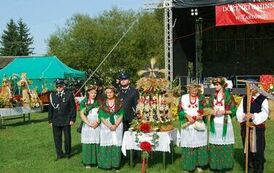 "Dożynki Gminne - Tarł&oacute;w 2023" 38