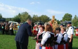 "Dożynki Gminne - Tarł&oacute;w 2023" 39