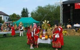 "Dożynki Gminne - Tarł&oacute;w 2023" 41