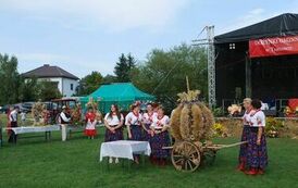 "Dożynki Gminne - Tarł&oacute;w 2023" 45