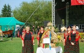 "Dożynki Gminne - Tarł&oacute;w 2023" 46