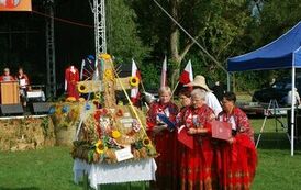 "Dożynki Gminne - Tarł&oacute;w 2023" 56