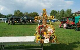 "Dożynki Gminne - Tarł&oacute;w 2023" 59