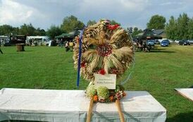 "Dożynki Gminne - Tarł&oacute;w 2023" 60