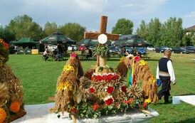 "Dożynki Gminne - Tarł&oacute;w 2023" 62