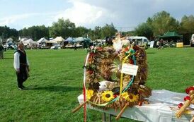 "Dożynki Gminne - Tarł&oacute;w 2023" 63