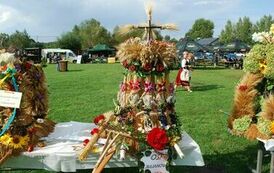 "Dożynki Gminne - Tarł&oacute;w 2023" 64