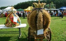 "Dożynki Gminne - Tarł&oacute;w 2023" 65