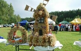 "Dożynki Gminne - Tarł&oacute;w 2023" 67