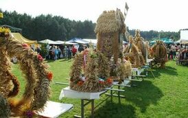 "Dożynki Gminne - Tarł&oacute;w 2023" 68