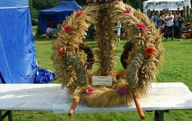 "Dożynki Gminne - Tarł&oacute;w 2023" 69