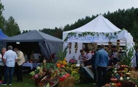 "Dożynki Gminne - Tarł&oacute;w 2023" 71