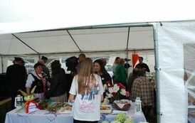 "Dożynki Gminne - Tarł&oacute;w 2023" 78