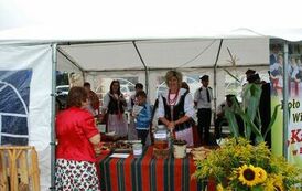 "Dożynki Gminne - Tarł&oacute;w 2023" 79