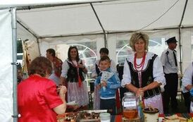 "Dożynki Gminne - Tarł&oacute;w 2023" 80