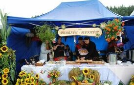 "Dożynki Gminne - Tarł&oacute;w 2023" 81