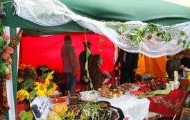 "Dożynki Gminne - Tarł&oacute;w 2023" 88