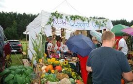 "Dożynki Gminne - Tarł&oacute;w 2023" 89