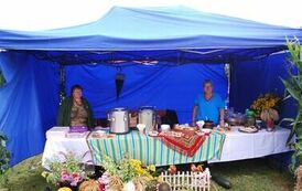 "Dożynki Gminne - Tarł&oacute;w 2023" 90