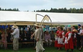 "Dożynki Gminne - Tarł&oacute;w 2023" 94