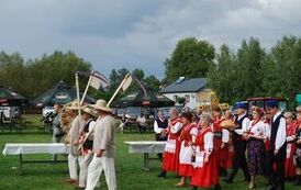 "Dożynki Gminne - Tarł&oacute;w 2023" 95