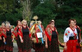 "Dożynki Gminne - Tarł&oacute;w 2023" 103