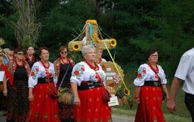 "Dożynki Gminne - Tarł&oacute;w 2023" 104