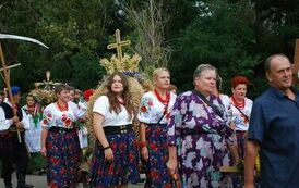 "Dożynki Gminne - Tarł&oacute;w 2023" 106