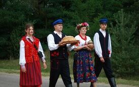 "Dożynki Gminne - Tarł&oacute;w 2023" 109