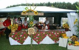 "Dożynki Gminne - Tarł&oacute;w 2023" 114