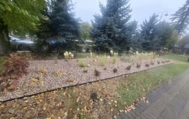 Park gminny w Tarłowie zyskał nowe oblicze! 5
