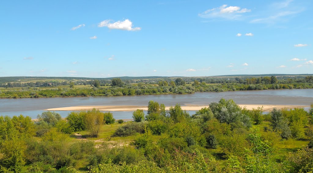 Zdjęcie ilustruje widok rzeki Wisły wraz z cała roślinnością