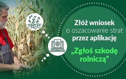 Zdjęcie do Uruchomiono  aplikację publiczną &bdquo;zgłoś szkodę rolniczą&quot;