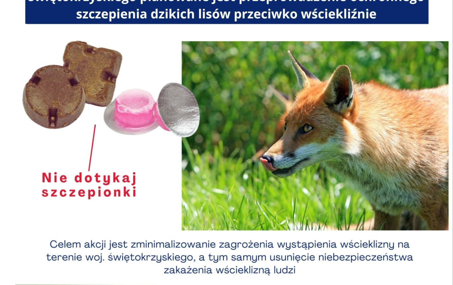 Zdjęcie artykułu z dnia 07-09-2026